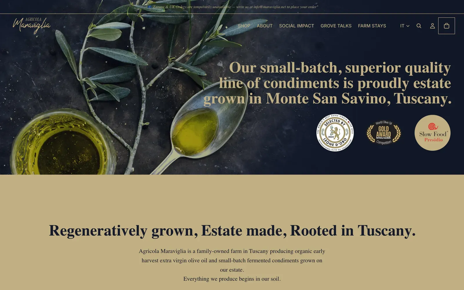 Home de la tienda Shopify de Agricola Maraviglia en agricolamaraviglia.net: una rama de olivo y una cuchara de aceite con sellos de premios